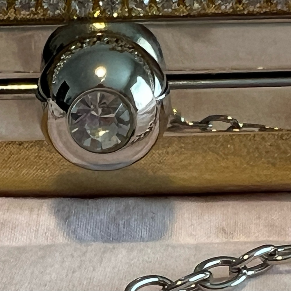 Elegant Gold and Silver Bag - Picture 6 of 10